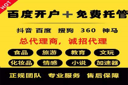 行业领先企业的SEM竞价代运营案例解析